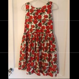 Anthropologie Sunday in Brooklyn Floral Dress S